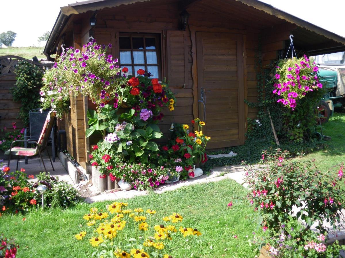 Pension Haus Ludwig Schotten Εξωτερικό φωτογραφία